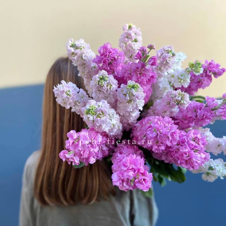 Охапка маттиолы в Улан-Удэ