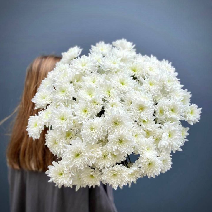 Охапка Хризантемы кустовой в Улан-Удэ