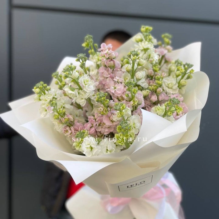 29 маттиол  в Улан-Удэ