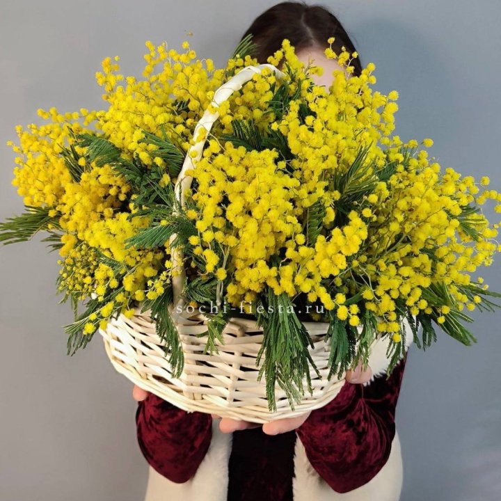 Корзина ароматной мимозы в Улан-Удэ