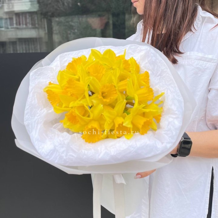 Нарциссы 25 шт в Улан-Удэ