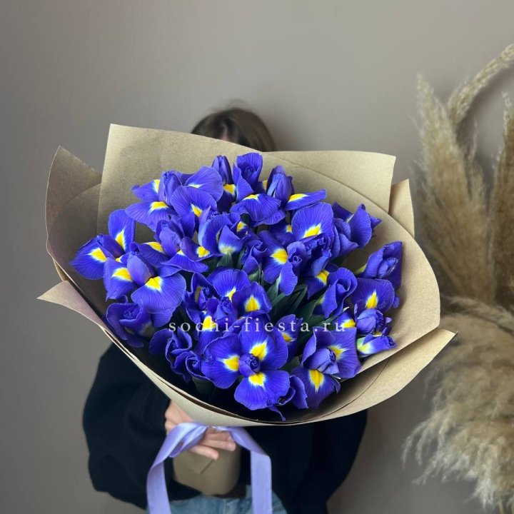 Ирисы в Улан-Удэ