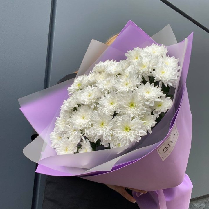  7 хризантем  в Улан-Удэ