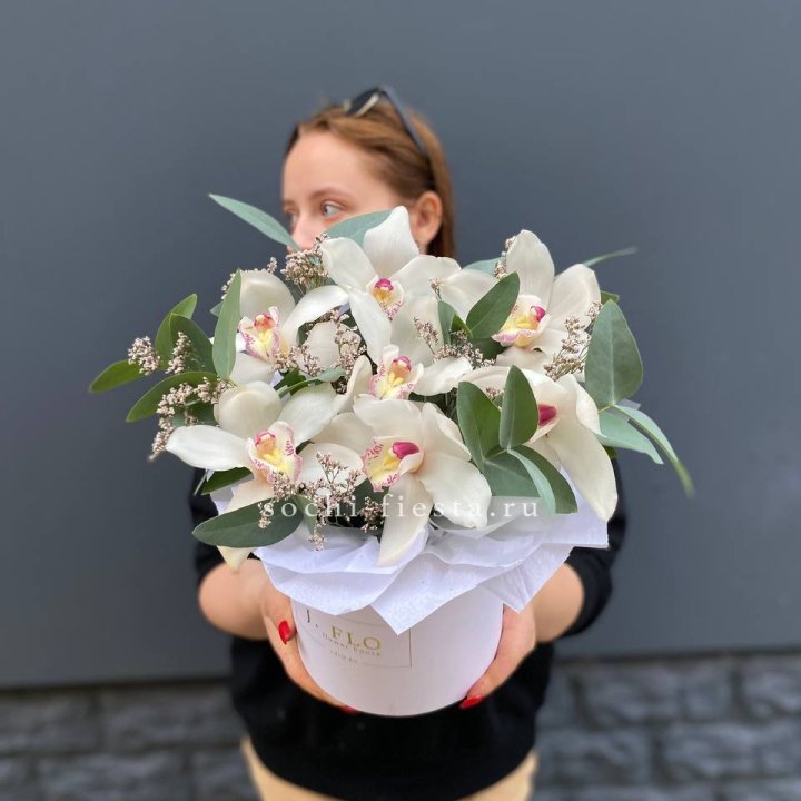 7 орхидей в боксе в Улан-Удэ