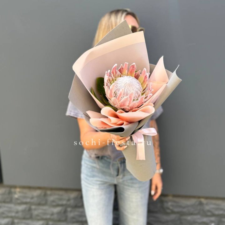 Протея мини  в Улан-Удэ