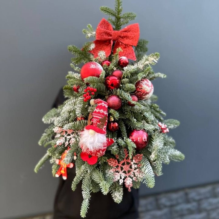 Новогодняя елочка "Ред" в Улан-Удэ