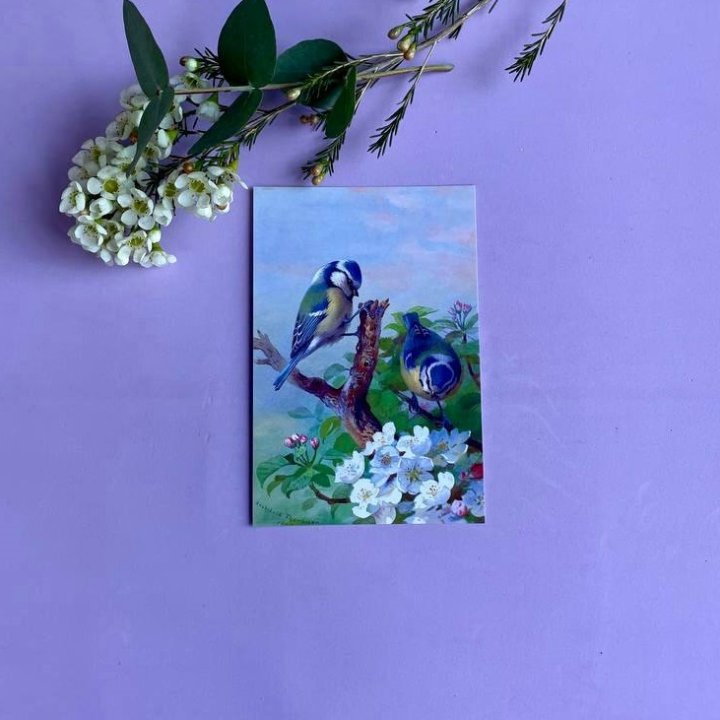 Открытка к букету "Птицы" в Улан-Удэ