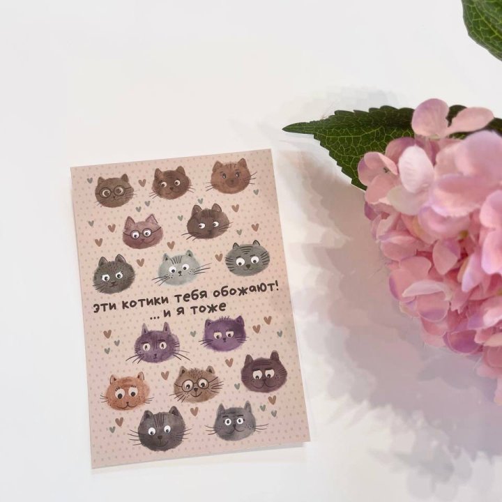 Открытка к букету "Котики" в Улан-Удэ