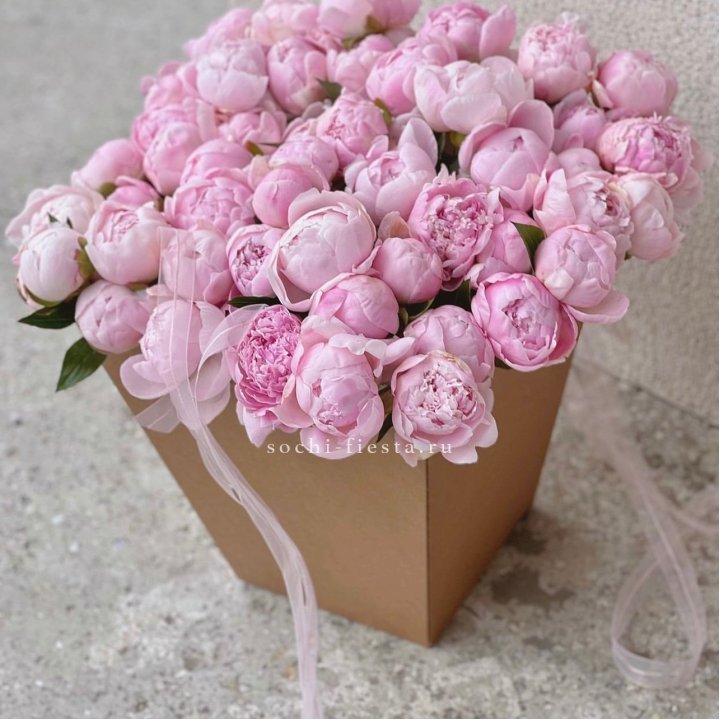 49 пионов в крафт коробке в Улан-Удэ