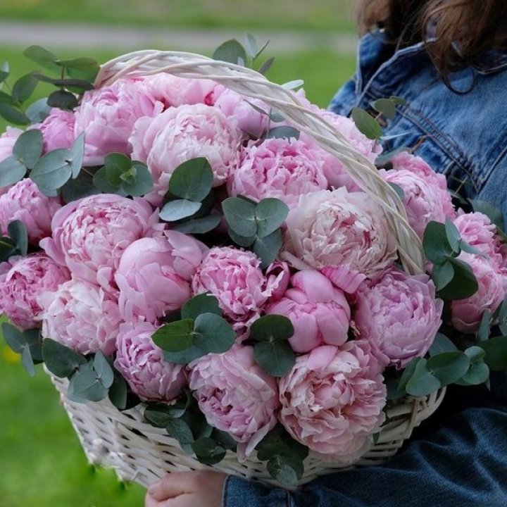 51 пион в корзине в Улан-Удэ