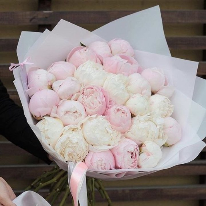 29 пионов в Улан-Удэ