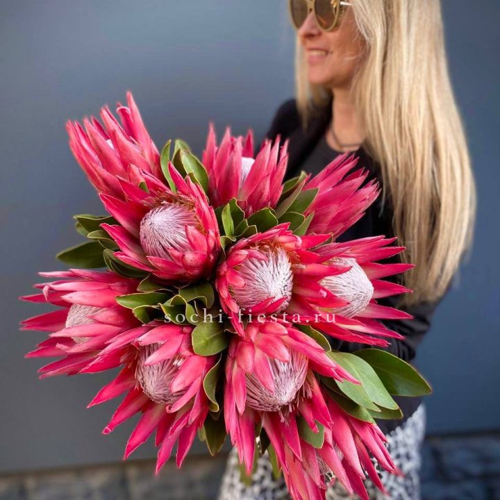 Протея штучно в Улан-Удэ