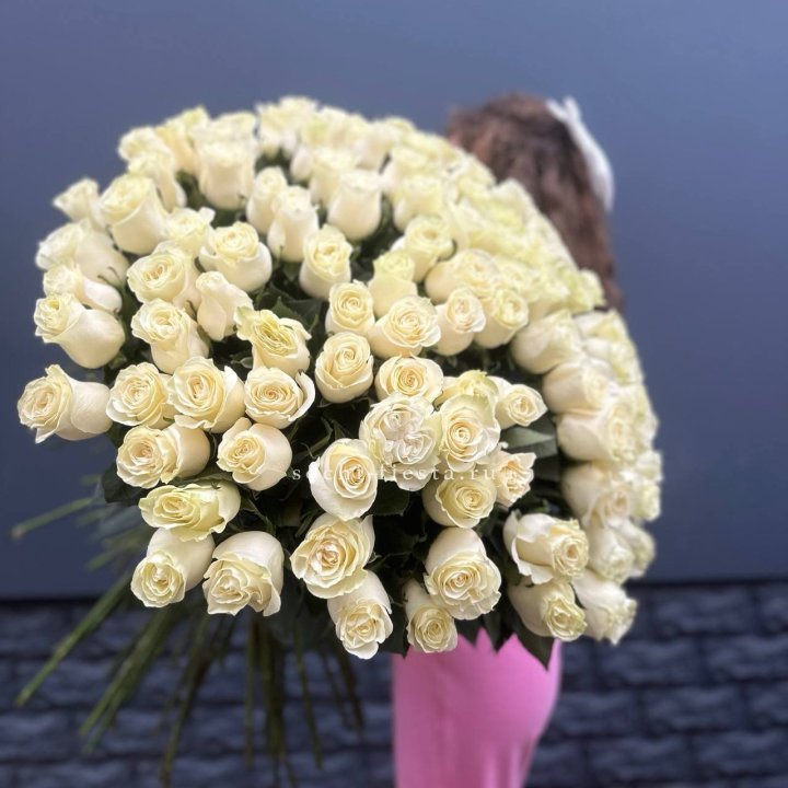 101 белая высокая импортная роза под ленту в Улан-Удэ