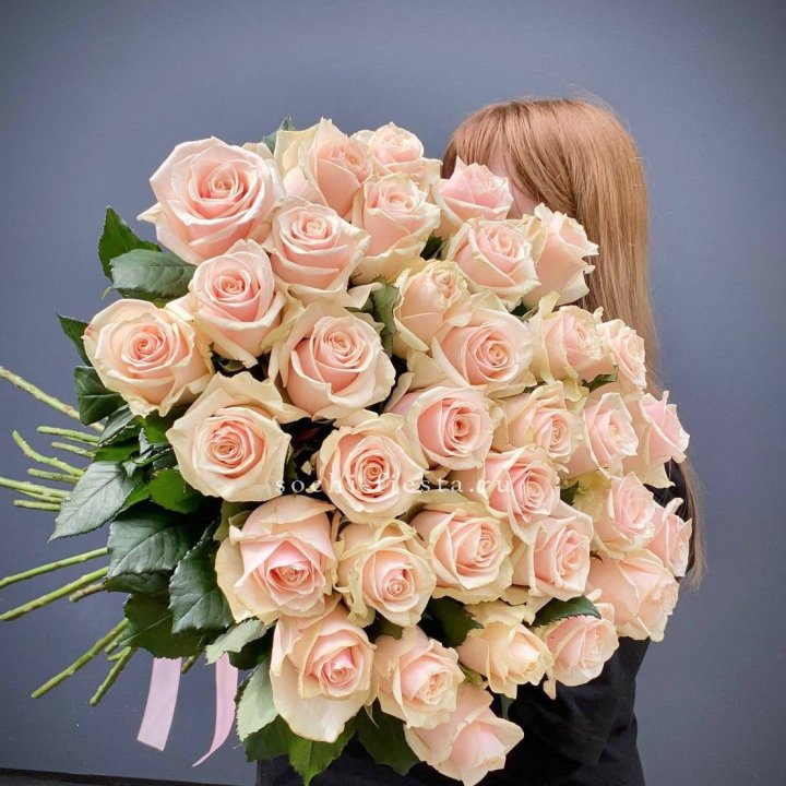 35 кремовых высоких роз в Улан-Удэ