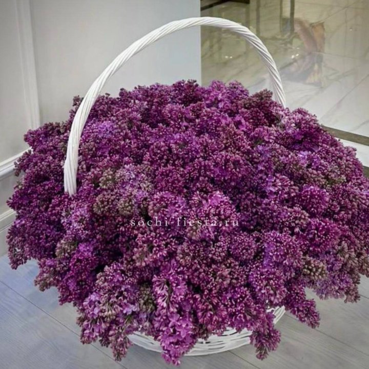 Корзина сирени в Улан-Удэ