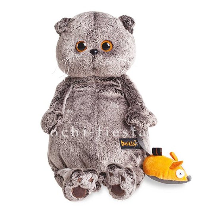 Кот Басик с мышкой в Улан-Удэ