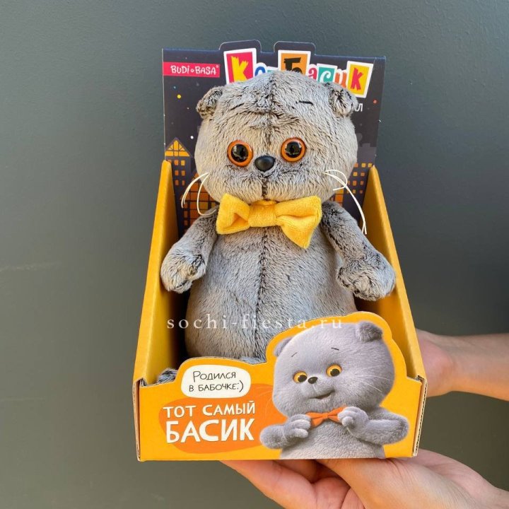 Кот Басик с бабочкой в Улан-Удэ