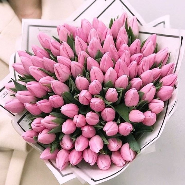 101 розовый тюльпан в белом в Улан-Удэ