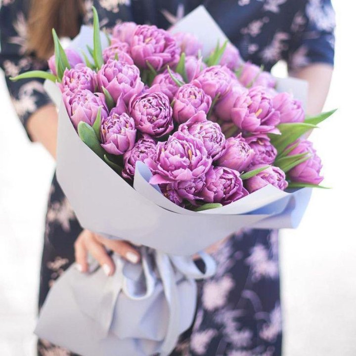 Тюльпаны "Пионс" в Улан-Удэ