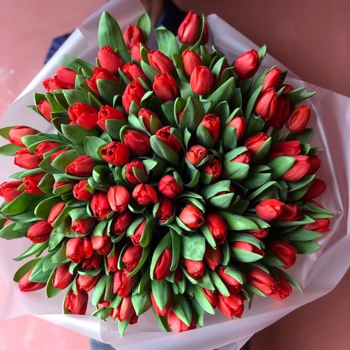 101 красный тюльпан в Улан-Удэ